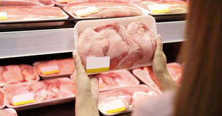 Zatrważające wyniki badań. Superbakterie w mięsie z kurczaka w popularnym sklepie
