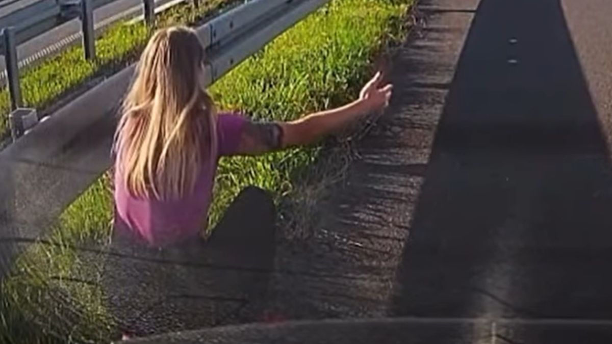 Policjantka uratowała dwa psy na S5.