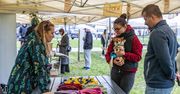 Kraków: Psy u behawiorysty i dietetyka na specjalnym pikniku
