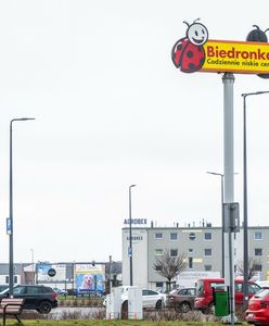 Kto wygrał wojnę cenową? Badania pokazały, kto zyskał