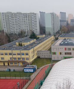 Niemcy zazdroszczą Polsce. "Cały świat pyta, jak to się stało"