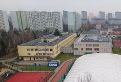 Niemcy zazdroszczą Polsce. "Cały świat pyta, jak to się stało"