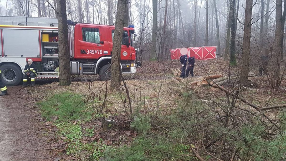 Podczas wycinki drzew w lesie pod Toruniem doszło do tragicznego wypadku