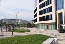 Wrocław. Zielone miasto. Wypięknieją kolejne skwery