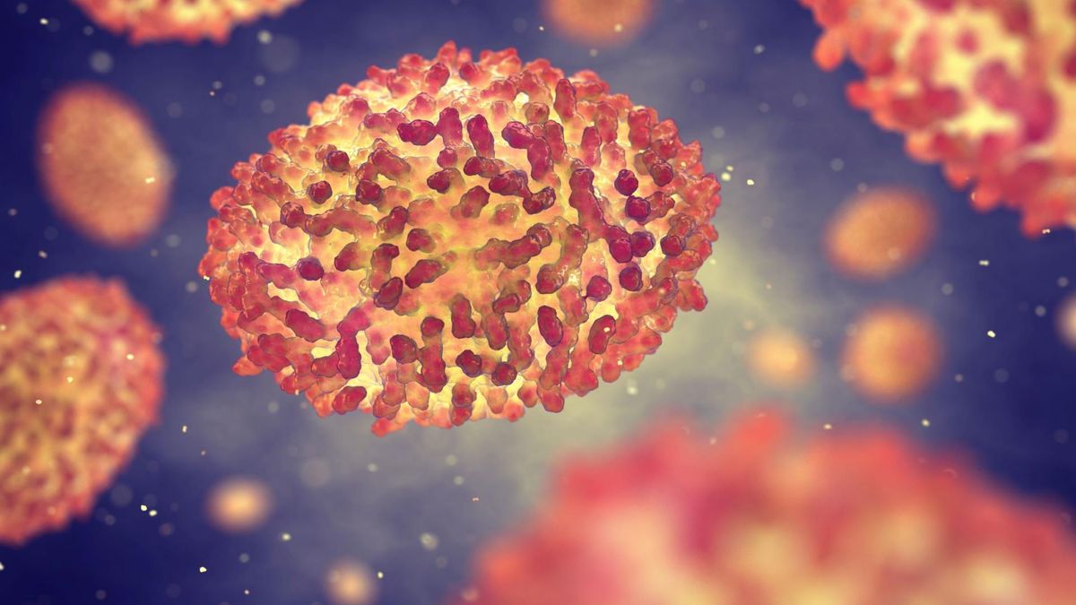 Ospa prawdziwa była wywoływana przez wirusa Variola major i Variola minor.