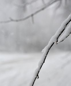 Podkarpacie pod śniegiem. Cztery tysiące odbiorców bez prądu