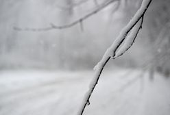 Podkarpacie pod śniegiem. Cztery tysiące odbiorców bez prądu