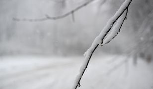 Podkarpacie pod śniegiem. Cztery tysiące odbiorców bez prądu