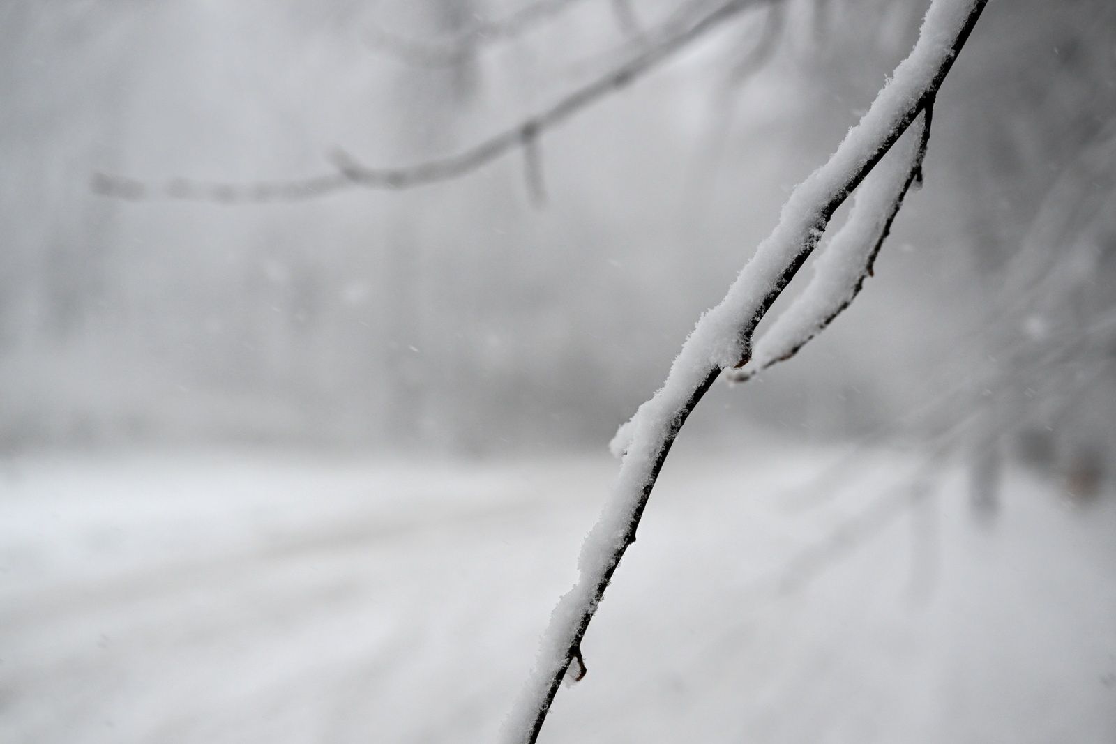 Podkarpacie pod śniegiem. Cztery tysiące odbiorców bez prądu