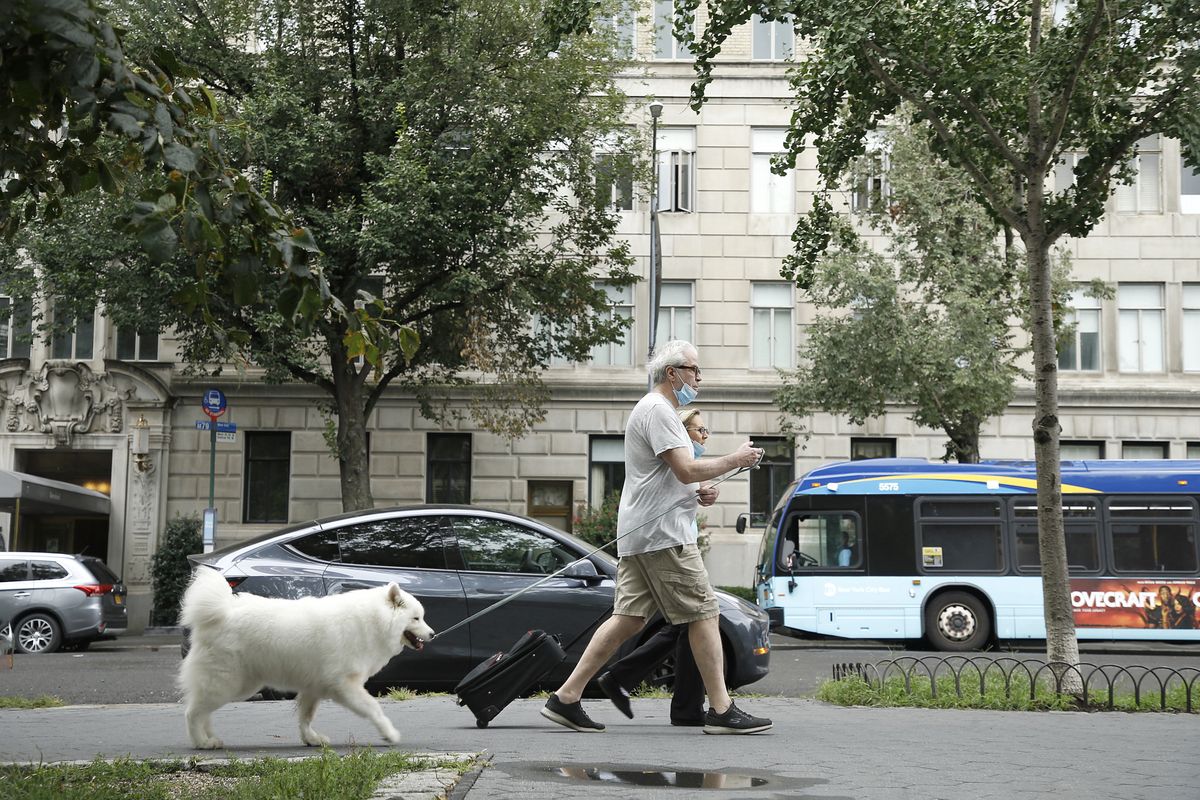 Niemcy. Zmiany dla właścicieli psów