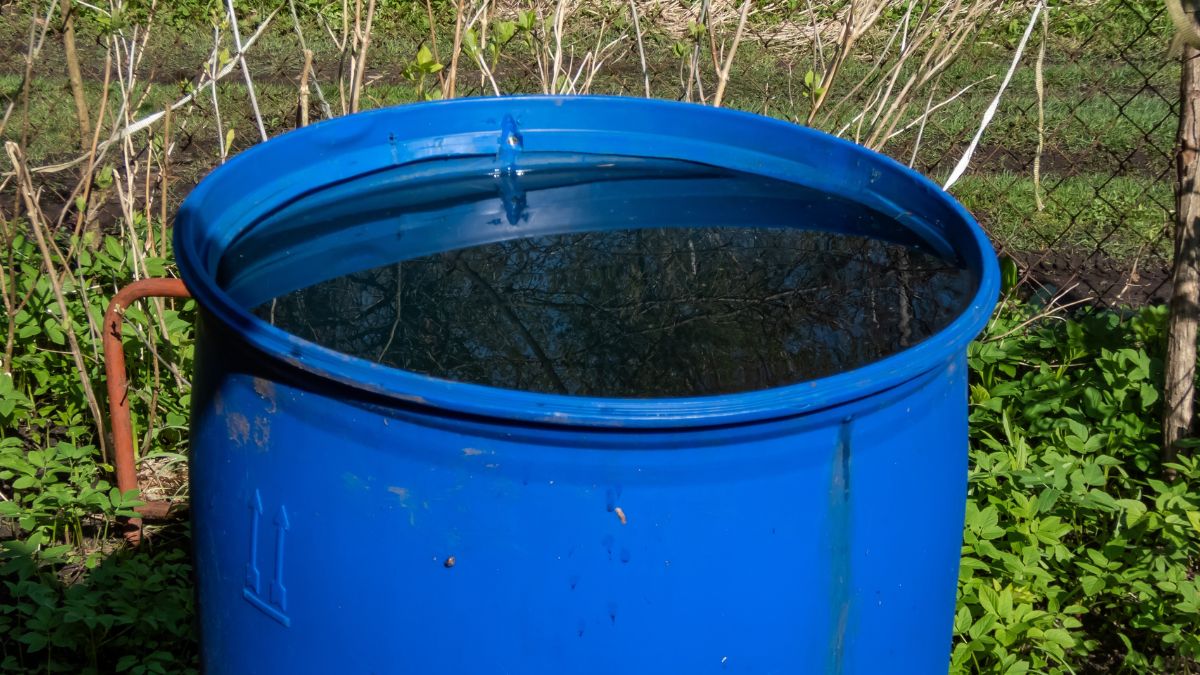 Coraz więcej osób decyduje się na zbieranie deszczówki