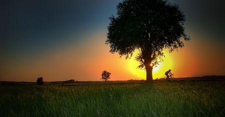 Trasy rowerowe w Polsce. Najpiękniejsze szlaki dla miłośników dwóch kółek