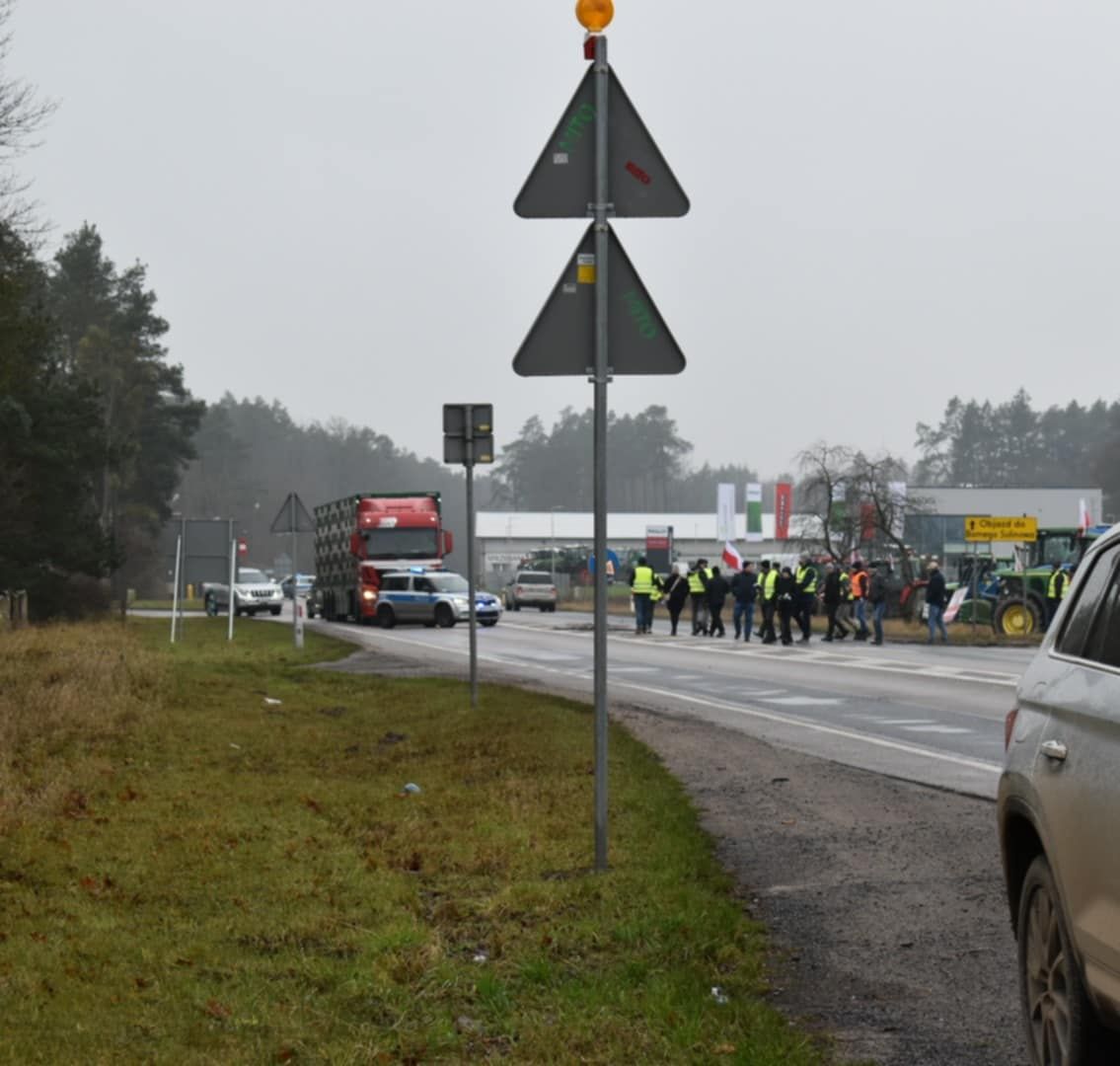 prostest