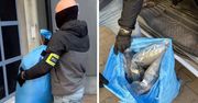 133 kg narkotyków i broń. Spektakularna akcja policjantów