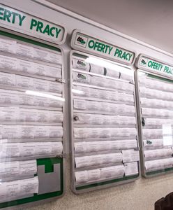 Czechy liderem, Polska na podium. Eurostat podał ważne dane