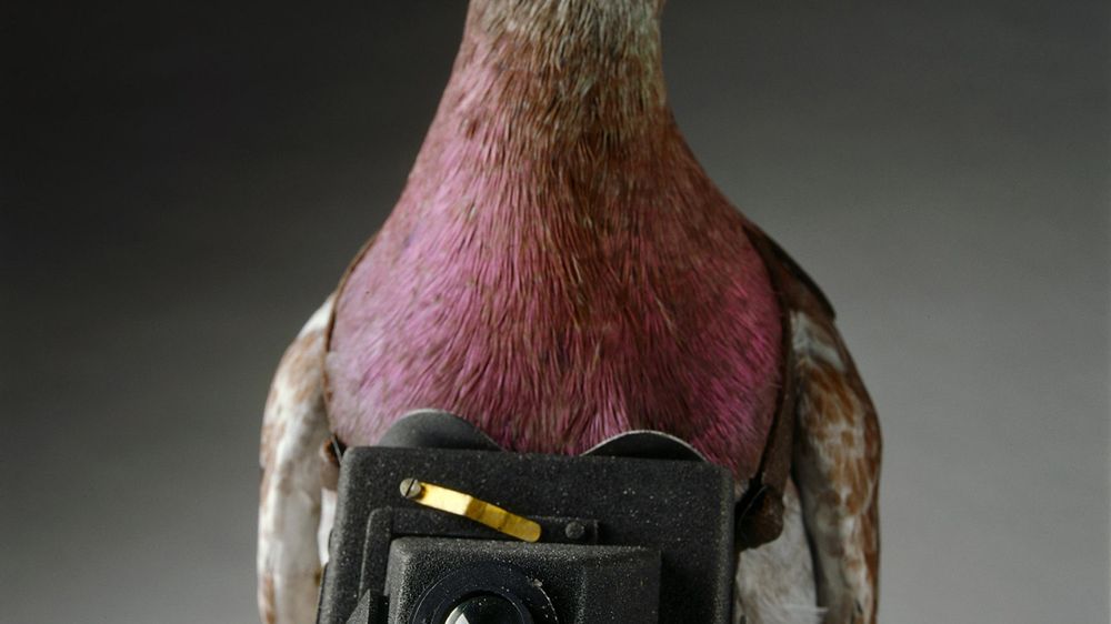 Szpiegowskie zabawki z czasów zimnej wojny 1