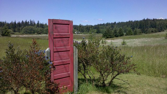 Przechodzenie przez drzwi może prowadzić do zaników pamięci 1