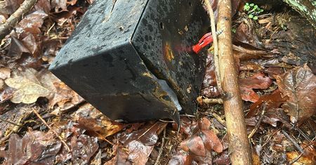 Ukradł kościelną skarbonkę, datki stracił na jedzenie i alkohol