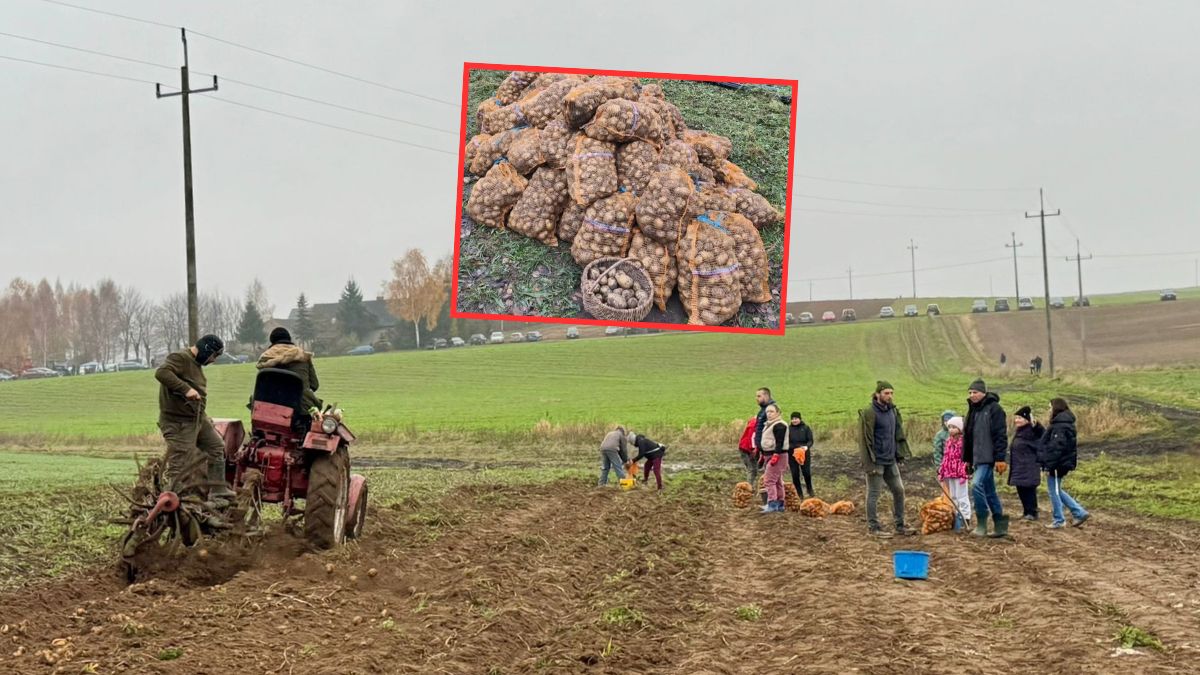 Zorganizowano retro-wykopki dla Ignasia z Nowego Miasta Lubawskiego