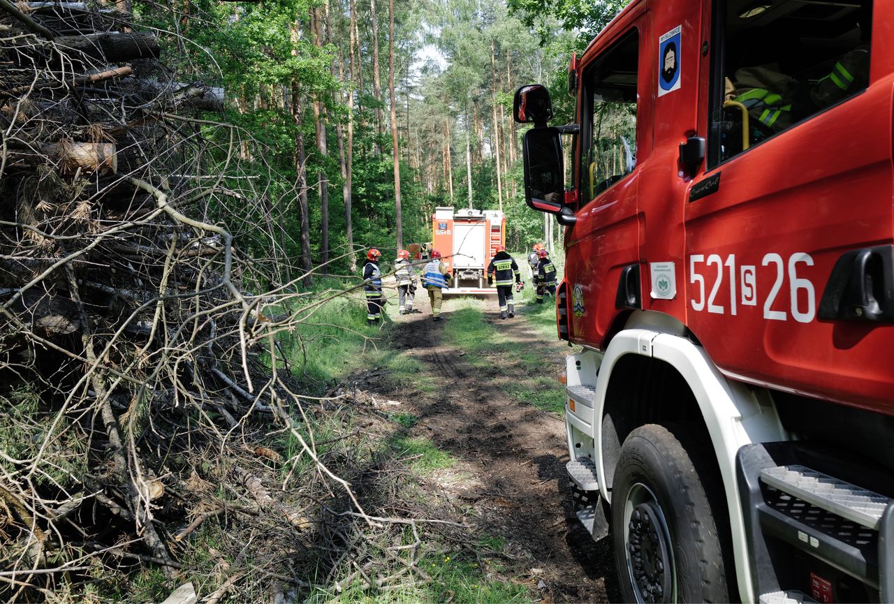 Wielkopolskie. Pożar domku letniskowego, w którym przebywała rodzina z Warszawy