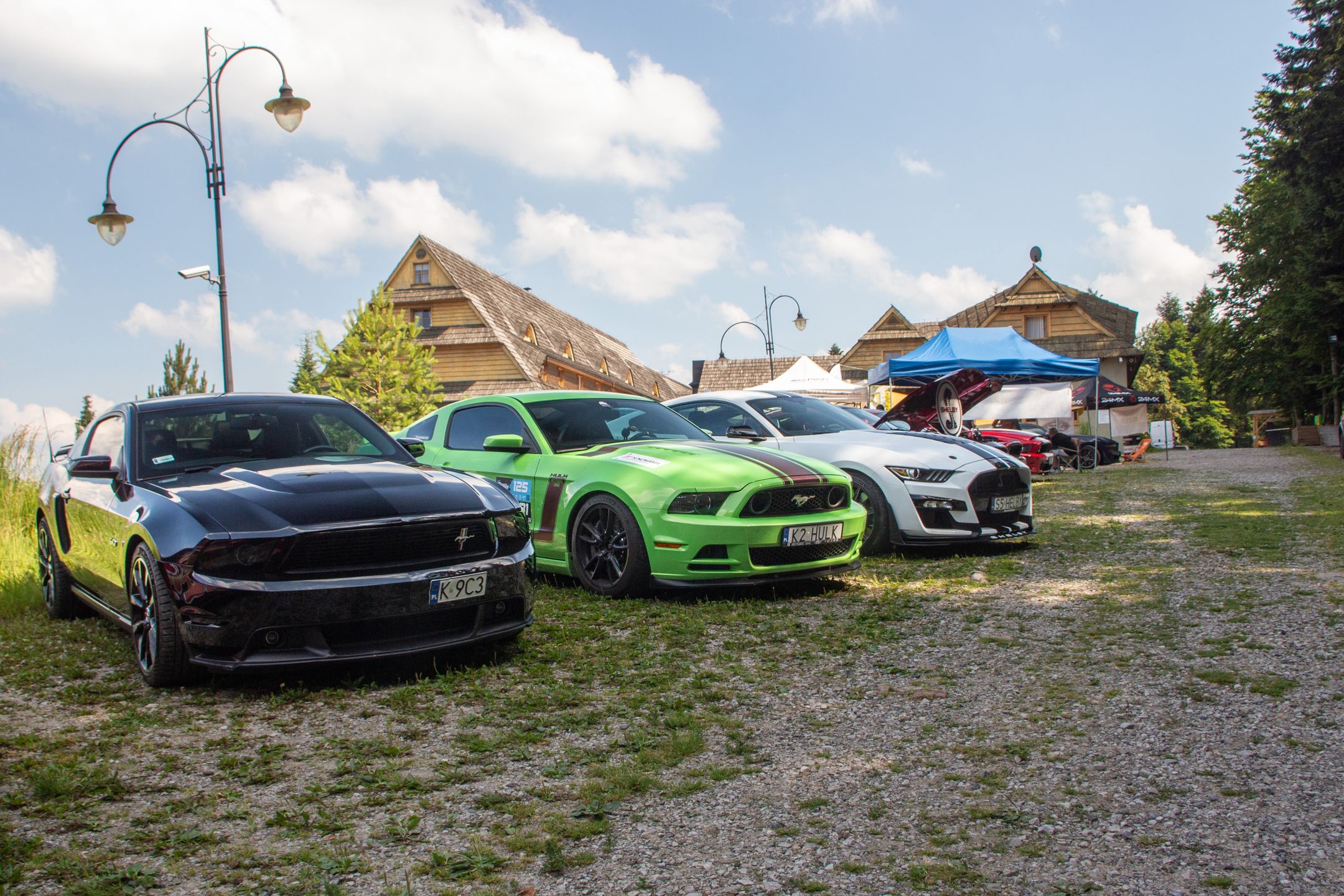 Małopolski & Śląski Zlot Mustangów 2024