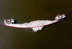 Rząd znalazł winowajcę skażenia Odry. Ekspert kategorycznie zaprzecza