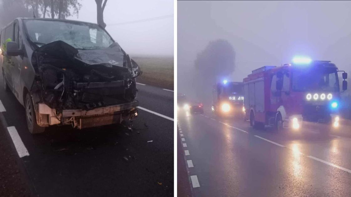 Interwencja druhów