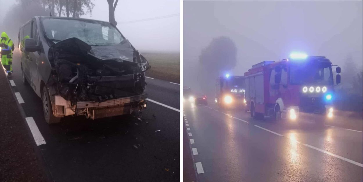 Kolizja z łosiem w Parzeniu!