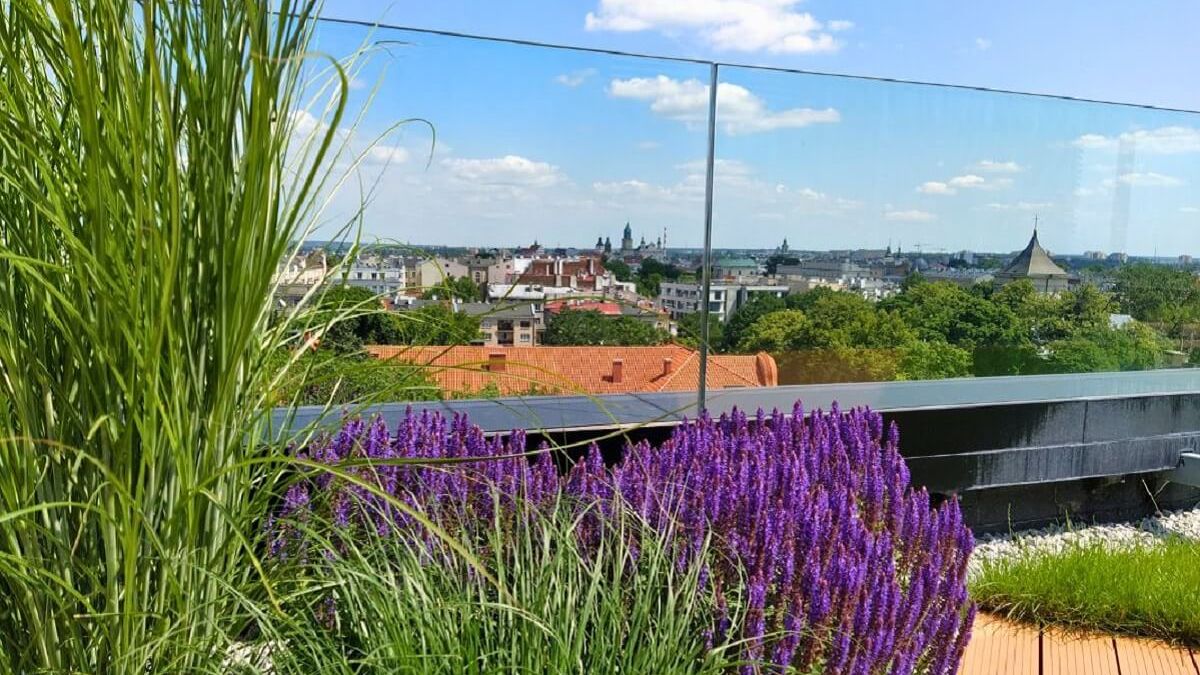 Projektowanie ogrodów Lublin