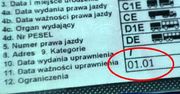 Kod 01 w prawie jazdy. Prosty błąd może kosztować 500 zł