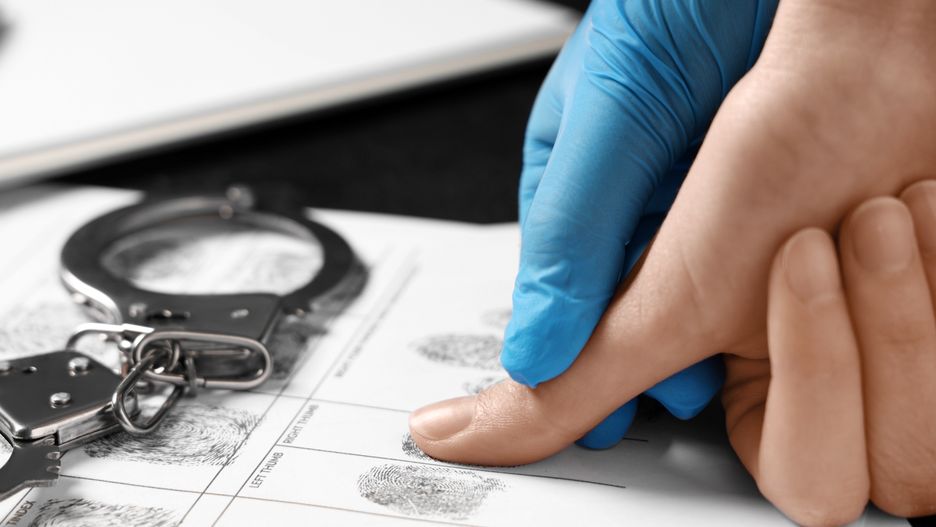 policja, zatrzymanie, zatrzymanie przez policję