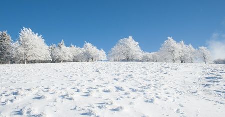 No i zaczęła się zima. Co to jest przesilenie zimowe? Symulator ruchu Słońca po niebie wszystko wyjaśni.