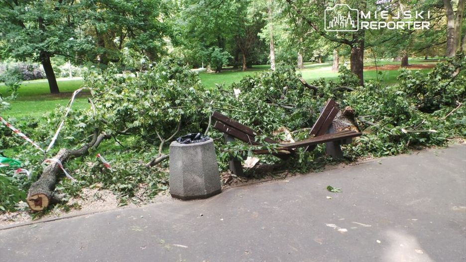 Złamane gałęzie leżą na ścieżce w parku obok uszkodzonej ławki i kosza na śmieci.