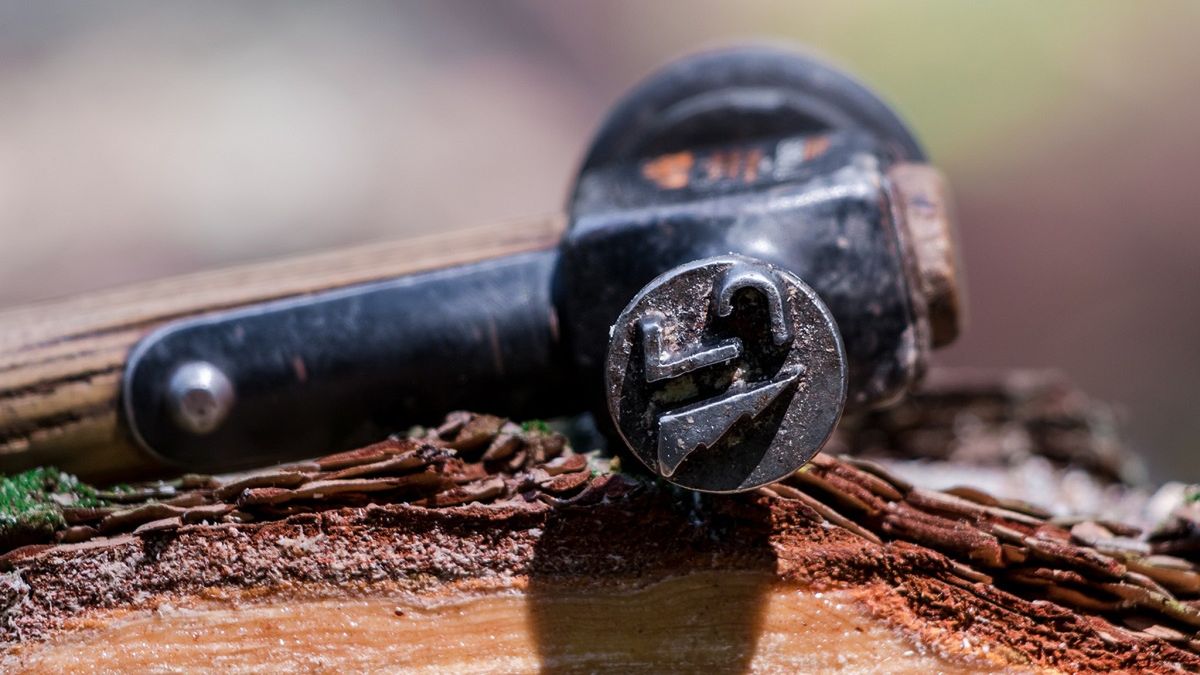 Leśnicy zdradzają swój sekret. To nie pistolet