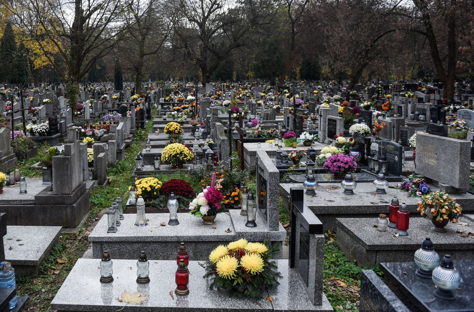Koszmar na cmentarzu w Łomży. Zwłoki obok nagrobka