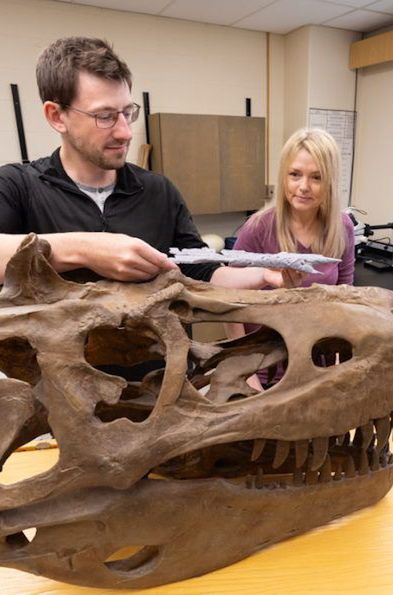 Zidentyfikowano najbliższego przodka T. rexa. To "książę smoków"