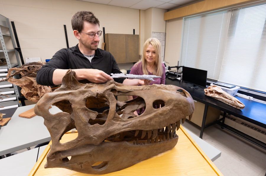 Paleontolodzy znaleźli najbliższego przodka słynnego T. rexa