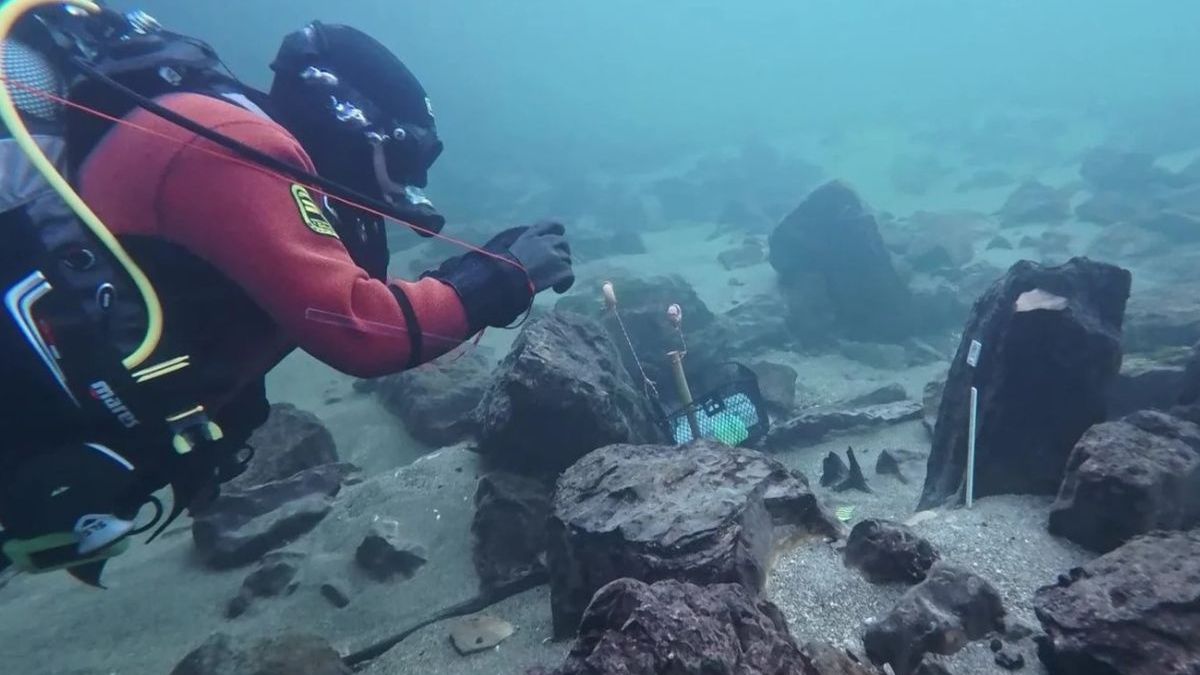 Archeolodzy natrafili na pale mostowe z epoki Cesarstwa Rzymskie