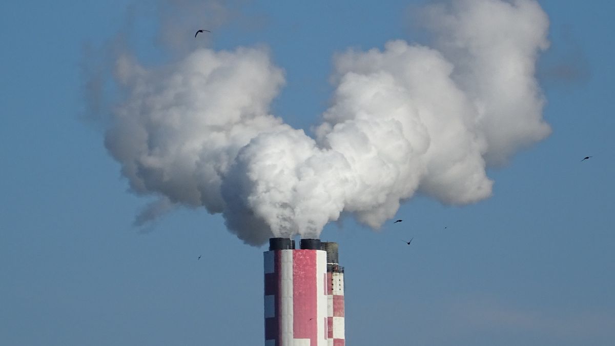 Pierwszy raport o poziomie dekarbonizacji