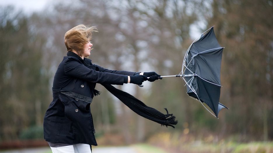 Fighting against the windA young woman is fighting against the storm with her umbrellaRobertHoetinkAutumn, Climate, Cycling, Danger, Female, Hurricane, Meteorology, Nature, One Person, Outdoors, Rain, Season, Storm, Street, Typhoon, Umbrella, Weather, Wind, Women