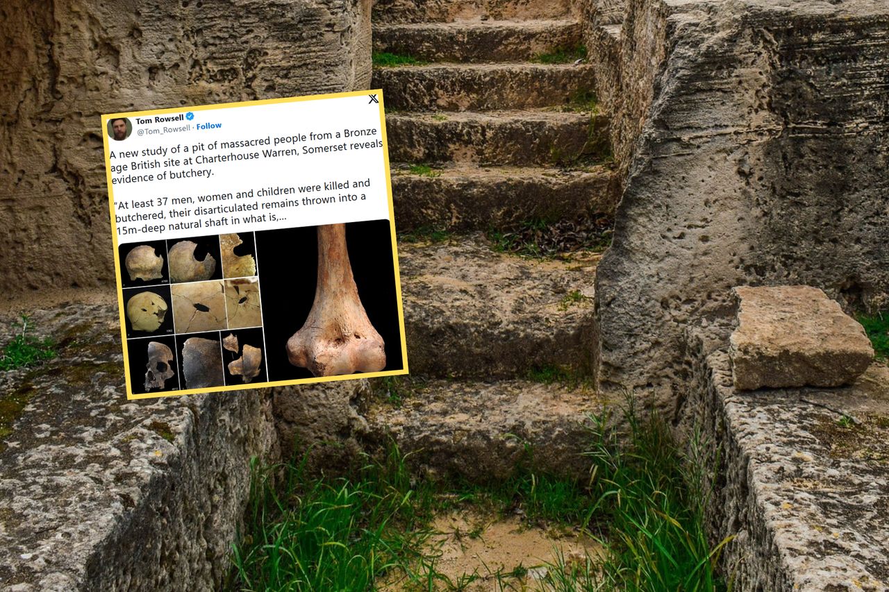 Archaeologists made a terrifying discovery