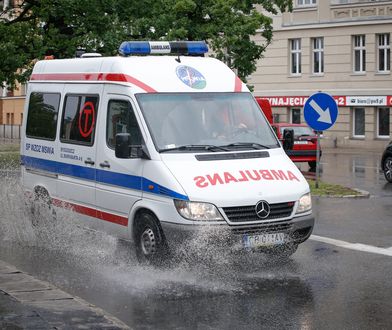 Groźny atak krowy. Kobietę zabrała karetka