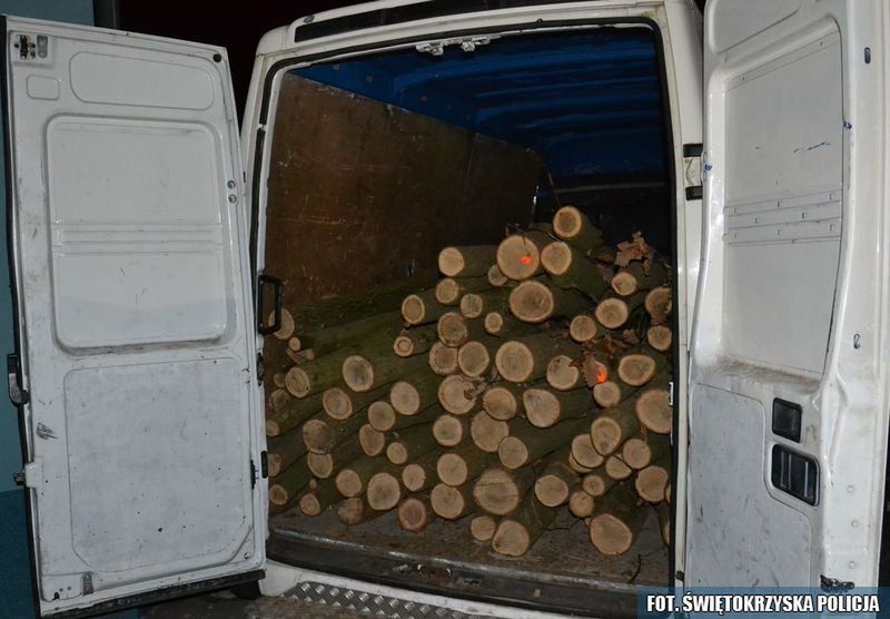 Starachowice: Ukradł drewno z lasu