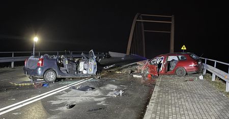 Dzik wszedł na drogę. Oto efekt. Drogowy horror na Podkarpaciu