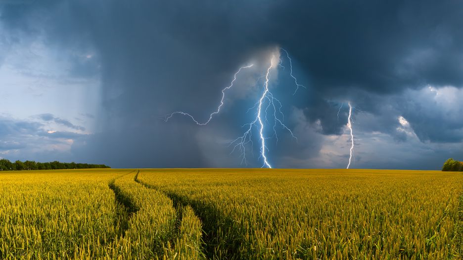 Summer landscape with big wheat field and road, thunderstorm with rain on background
agriculture, blue, botanical, botany, clouds, countryside, cultivate, environment, farm, farmland, field, golden, grain, grass, green, grow, growing, harvest, hill, horizon, idyllic, land, landscape, meadow, natural, nature, organic, outdoor, panorama, pastoral, peaceful, quiet, rain, reap, road, rural, scenery, seasonal, sky, solitude, storm, sun, sunny, terrain, thunderstorm, tree, view, wheat, yellow