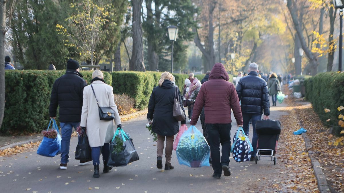 Eksperci komentują nowe znicze 