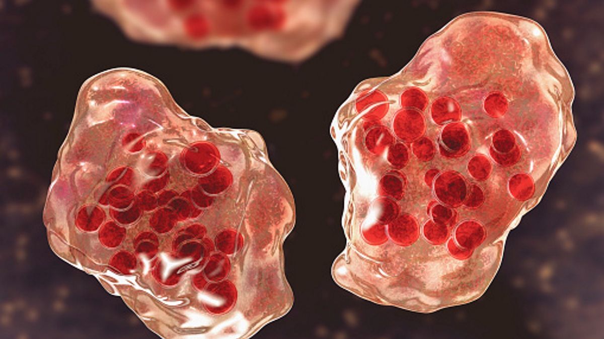 Wirus odry jest jednym z najbardziej zaraźliwych na świecie