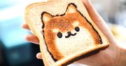 How to Choose Puppy Food?