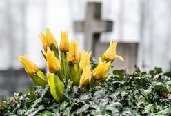 Pogrzeb ofiar wypadku w Krakowie. Poruszające słowa