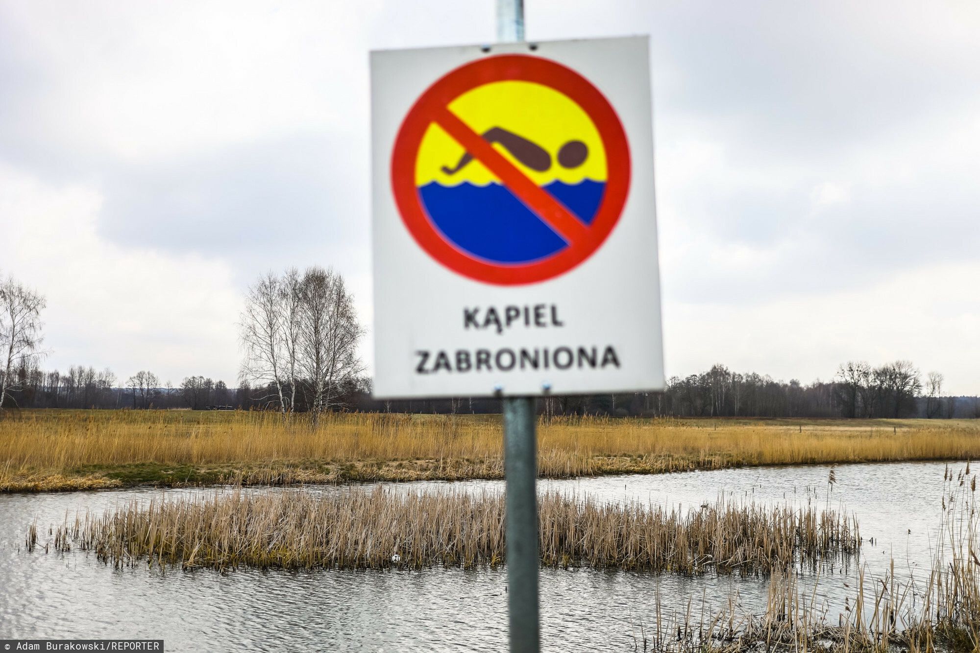 Zakaz kąpieli. Zdjęcie ilustracyjne